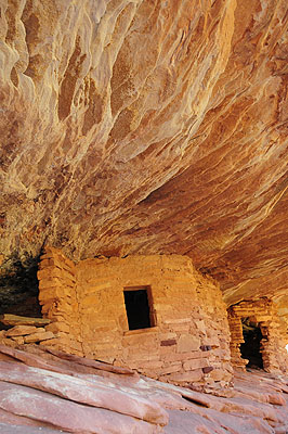 DSC_1556.jpg (4288x2848) NIKON D300 - 18-200mm f/3.5-5.6 // F4 // 1/60 sec // ISO 400 // 27,0 mm // Flash fired, return detected // 2008:07:09 09:47:31 DSC_1556.jpg (4288x2848) NIKON D300 - 18-200mm f/3.5-5.6 // F4 // 1/60 sec // ISO 400 // 27,0 mm // Flash fired, return detected // 2008:07:09 09:47:31